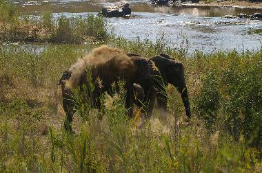 Maison de vacances �/en/au Marloth Park (Mpumalanga)ou appartement ou maison de vacances