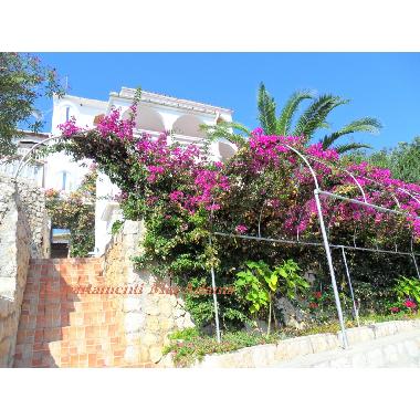 Appartement de vacances /en/au Novalja (Primorsko-Goranska)ou appartement ou maison de vacances