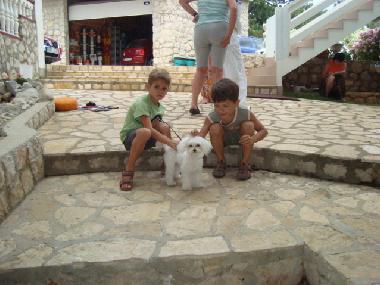 Appartement de vacances /en/au Novalja (Primorsko-Goranska)ou appartement ou maison de vacances