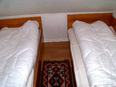 Appartement de vacances /en/au Braunlage (Harz)ou appartement ou maison de vacances