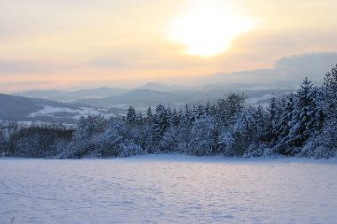 Appartement de vacances /en/au Tann(Rhn) (Rhn)ou appartement ou maison de vacances