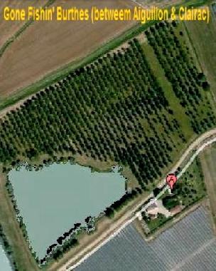 Maison de vacances /en/au Aiguillon (Lot-et-Garonne)ou appartement ou maison de vacances