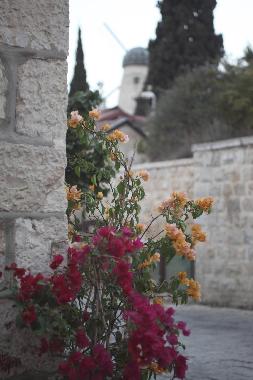 Appartement de vacances �/en/au Jerusalem (Yerushalayim (Jerusalem))ou appartement ou maison de vacances