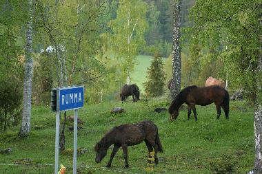 Appartement de vacances /en/au Gamleby (Smaland)ou appartement ou maison de vacances