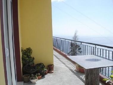 Maison de vacances /en/au Calheta (Madeira)ou appartement ou maison de vacances
