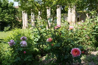 Maison de vacances /en/au Strassoldo (Udine)ou appartement ou maison de vacances