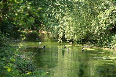Maison de vacances /en/au Strassoldo (Udine)ou appartement ou maison de vacances