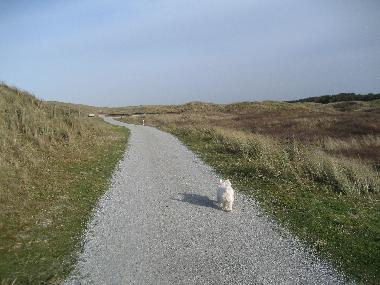 Appartement de vacances /en/au Ameland Buren (Friesland)ou appartement ou maison de vacances