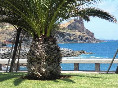 Appartement de vacances /en/au Canico de Baixo (Madeira)ou appartement ou maison de vacances