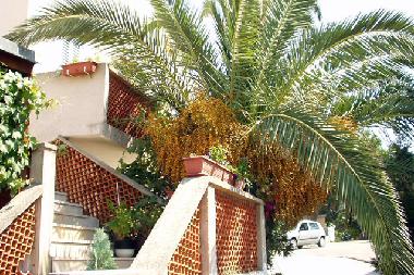 Appartement de vacances /en/au Mali Losinj  (Primorsko-Goranska)ou appartement ou maison de vacances