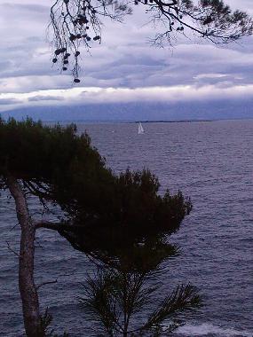 Appartement de vacances /en/au Mali Losinj  (Primorsko-Goranska)ou appartement ou maison de vacances