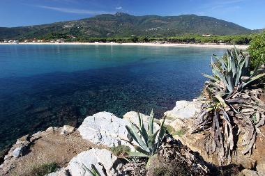 Maison de vacances �/en/au Island of Elba (Livorno)ou appartement ou maison de vacances