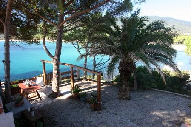 Maison de vacances �/en/au Island of Elba (Livorno)ou appartement ou maison de vacances