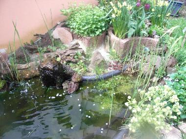 Appartement de vacances /en/au Dortmund (Ruhrgebiet)ou appartement ou maison de vacances