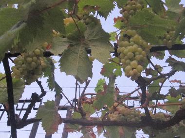 Chalet �/en/au Hrabrino (Plovdiv)ou appartement ou maison de vacances