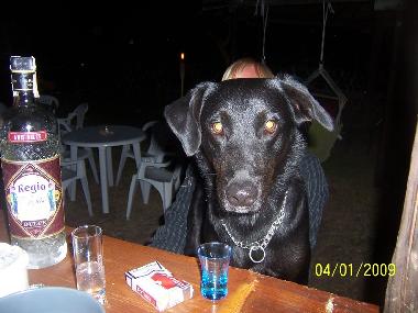 Maison de vacances /en/au Zahora (Cdiz)ou appartement ou maison de vacances