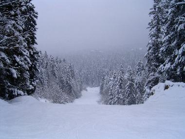 Appartement de vacances �/en/au Borovets (Smolyan)ou appartement ou maison de vacances