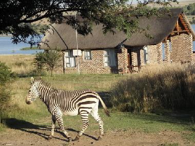 Chalet �/en/au Kroonstad (Free State)ou appartement ou maison de vacances