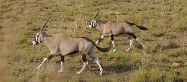 Chalet �/en/au Kroonstad (Free State)ou appartement ou maison de vacances