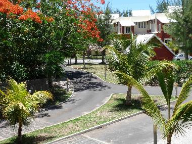 Appartement de vacances /en/au Bain Boeuf (Pereybere)ou appartement ou maison de vacances