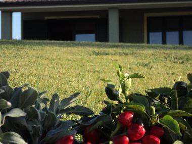 Appartement de vacances �/en/au Sa Rocca Tunda (Oristano)ou appartement ou maison de vacances