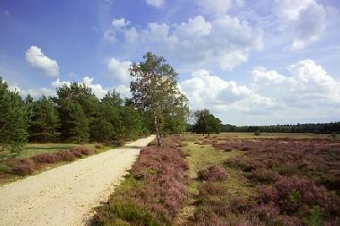 Maison de vacances �/en/au Otterlo (Gelderland)ou appartement ou maison de vacances