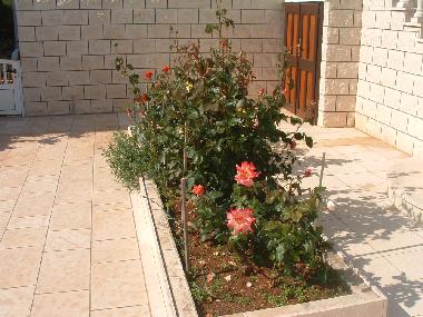 Appartement de vacances �/en/au Stari Grad (Splitsko-Dalmatinska)ou appartement ou maison de vacances