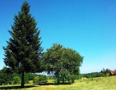 Maison de vacances �/en/au Les Devines/ Saint Leon (Allier)ou appartement ou maison de vacances