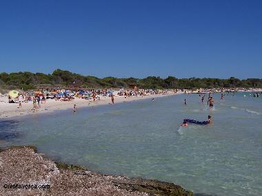 Appartement de vacances �/en/au colonia san jordi (Mallorca)ou appartement ou maison de vacances