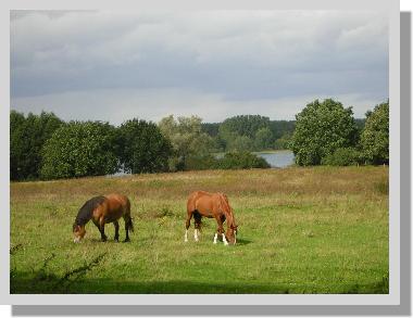 Maison de vacances /en/au Malchow (Mecklenburgische Seenplatte)ou appartement ou maison de vacances