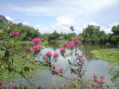 Maison de vacances �/en/au Amphoe Doem Bang Nang Buat (Suphan Buri)ou appartement ou maison de vacances