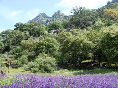 Maison de vacances /en/au Montanchez (Cceres)ou appartement ou maison de vacances