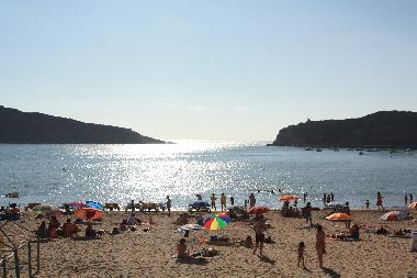 Maison de vacances �/en/au Famalic�o de Nazar� (Oeste)ou appartement ou maison de vacances