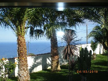 Maison de vacances �/en/au El Sauzal (Teneriffa)ou appartement ou maison de vacances