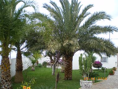 Maison de vacances �/en/au El Sauzal (Teneriffa)ou appartement ou maison de vacances