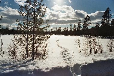 Maison de vacances /en/au svanskoog- (Vrmland)ou appartement ou maison de vacances