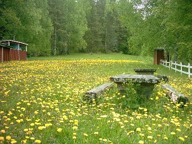 Maison de vacances /en/au svanskoog- (Vrmland)ou appartement ou maison de vacances