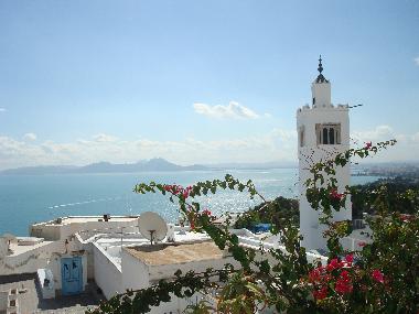 Chambre avec petit d�jeuner �/en/au sidi bou said (Tunis)ou appartement ou maison de vacances