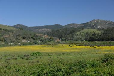 Chalet �/en/au sonega (Alentejo Litoral)ou appartement ou maison de vacances