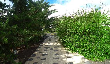 Maison de vacances /en/au la Vegueta ( Tinajo) (Lanzarote)ou appartement ou maison de vacances