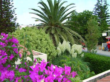 Appartement de vacances /en/au KOKKINI HANI (Irakleio)ou appartement ou maison de vacances