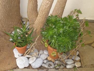 Appartement de vacances /en/au KOKKINI HANI (Irakleio)ou appartement ou maison de vacances