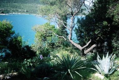 Appartement de vacances �/en/au Mali Ston (Dubrovacko-Neretvanska)ou appartement ou maison de vacances