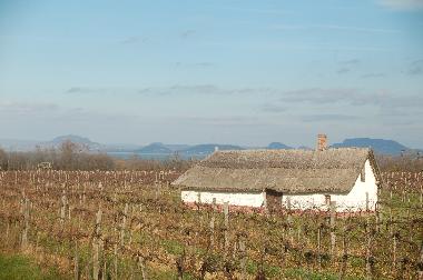 Maison de vacances �/en/au Balatonbereny (Somogy)ou appartement ou maison de vacances