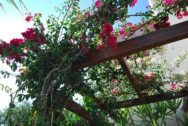 Maison de vacances /en/au HERAKLION (Irakleio)ou appartement ou maison de vacances