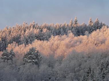 Maison de vacances �/en/au Croze (Creuse)ou appartement ou maison de vacances