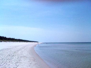 Maison de vacances �/en/au Grzybowo, Kolobrzeg (Zachodniopomorskie)ou appartement ou maison de vacances