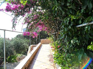 Appartement de vacances �/en/au Potocnica (Zadarska)ou appartement ou maison de vacances