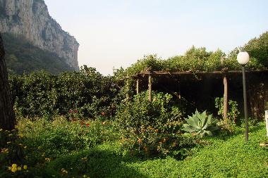 Appartement de vacances /en/au Capri (Napoli)ou appartement ou maison de vacances