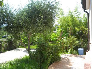 Maison de vacances �/en/au Tortol� (Ogliastra)ou appartement ou maison de vacances